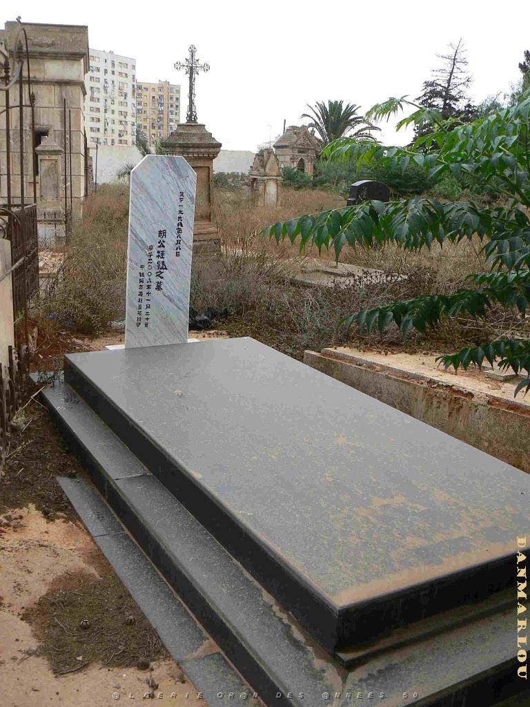 ORAN 2009 THAMASHOUET tombe Chinoise.jpg